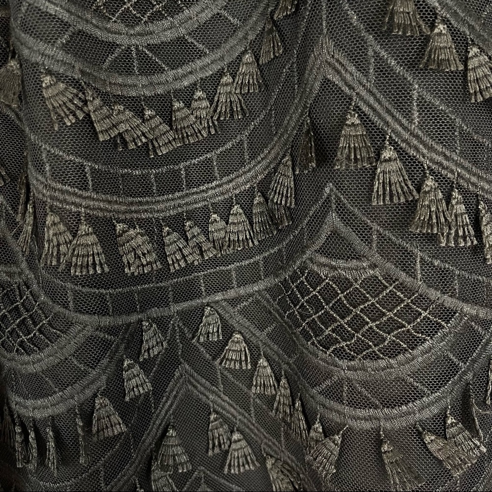 Talbots Rsvp Nwt Fringed Mesh Scalloped Top 1x - image 4